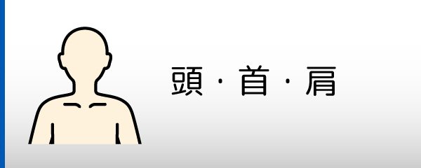 頭・首・肩