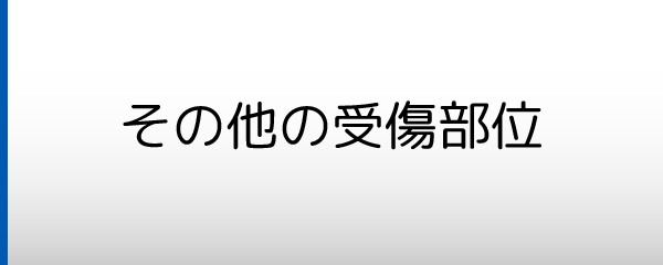 その他の受傷部位