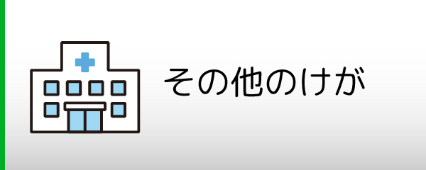 その他のけが